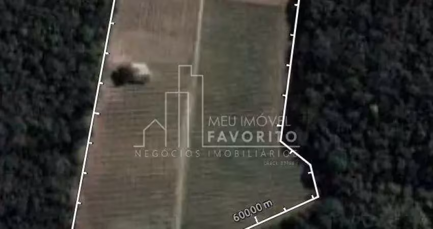 Imóvel rural à venda em jundiaí sp - 29.000m  - traviú - r 1.545.000,00