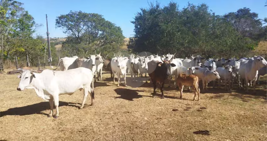 Fazenda à venda na Fazenda 47 Alqueires (dupla Aptidão), Centro, Pirenópolis
