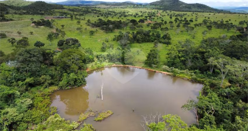 Fazenda à venda em Centro - GO