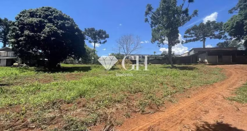 Terreno à venda, 66757 m² por r$ 3.300.000,00 - chapada - ponta grossa/pr