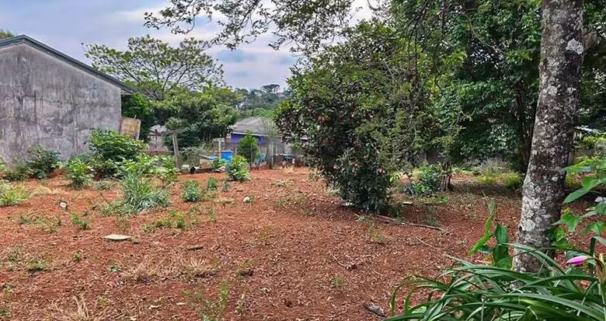 Terreno à venda no Cará-cará, Ponta Grossa 