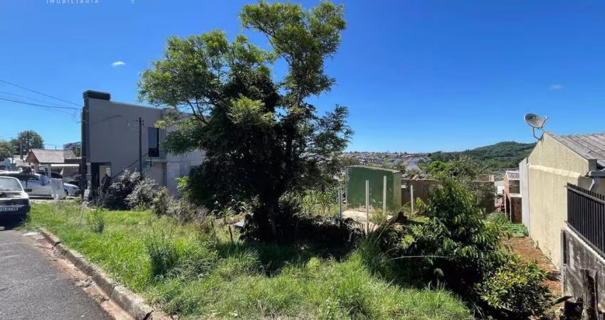 TERRENO A VENDA NO BAIRRO ALVORADA - 600M  - PATO BRANCO  PR