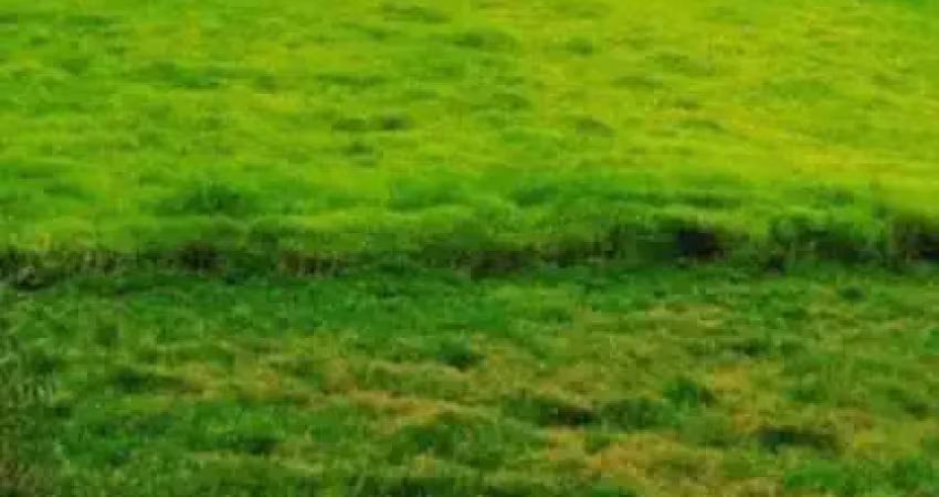 Terreno à venda na Rua Tomi Saburo Yamamoto, Jardim das Cerejeiras, Arujá
