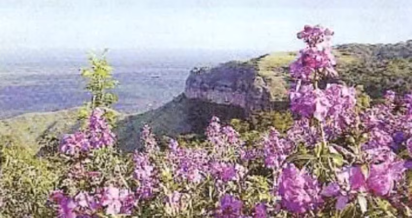 Sítio à venda em Chapada dos Guimarães MT