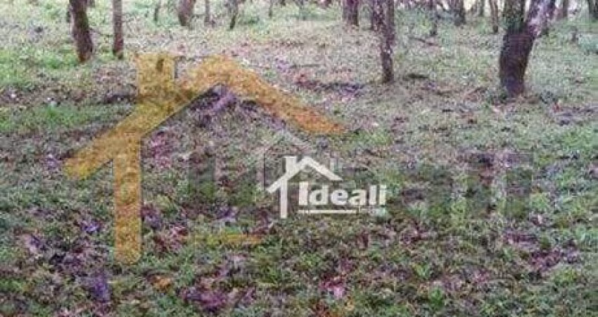 Terreno Residencial à venda, Vera Cruz, Gravataí - TE1009.