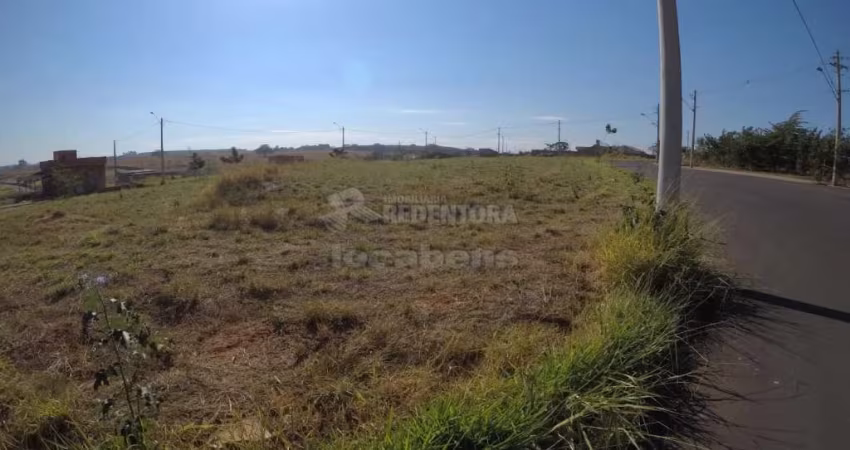 Lote de 237m² no Menezes 4