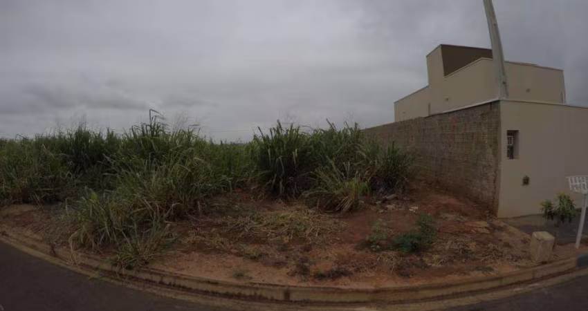 Terreno Padrão em Bady Bassitt