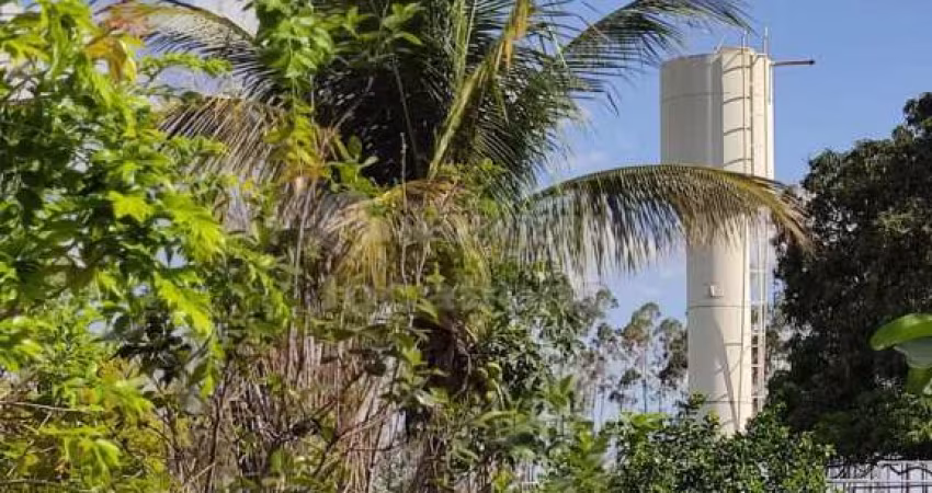 Sítio a 2 km da cidade de Tanabi, com 2.5 alqueires (60.500m²), com casa, curral, tanque de peixe, poço artesiano