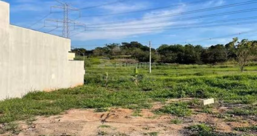 Terreno Padrão em Bady Bassitt