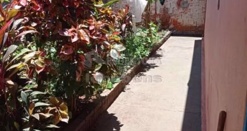 Casa Padrão em São José do Rio Preto