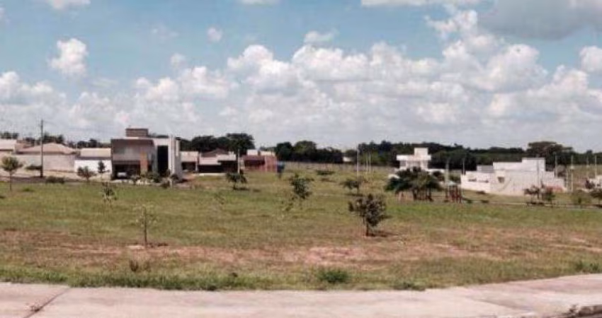 Terreno Padrão em Cedral