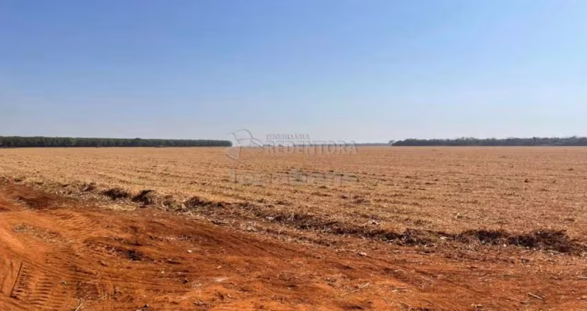 Excelente fazenda na Vila Barroso, com 206,66 Ha de área total!