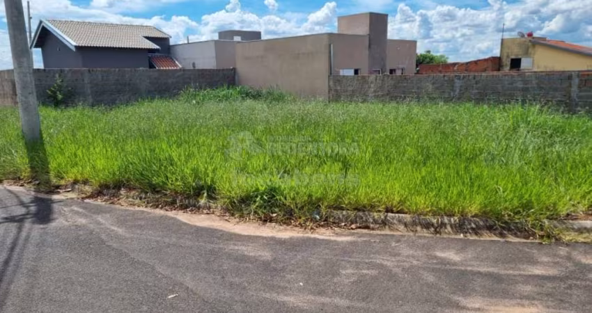 Terreno Residencial Venda Jardim Di Napoli Cedral-SP