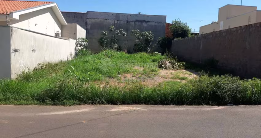 Terreno á venda no Jardim das Palmeiras em Bady Bassitt - SP