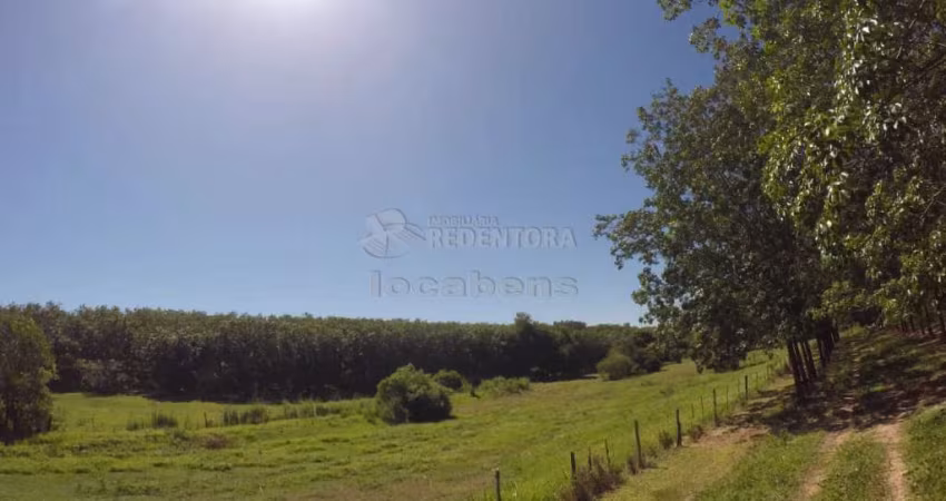 Fazenda em Seringueira no  interior Paulista no município de Auriflama.