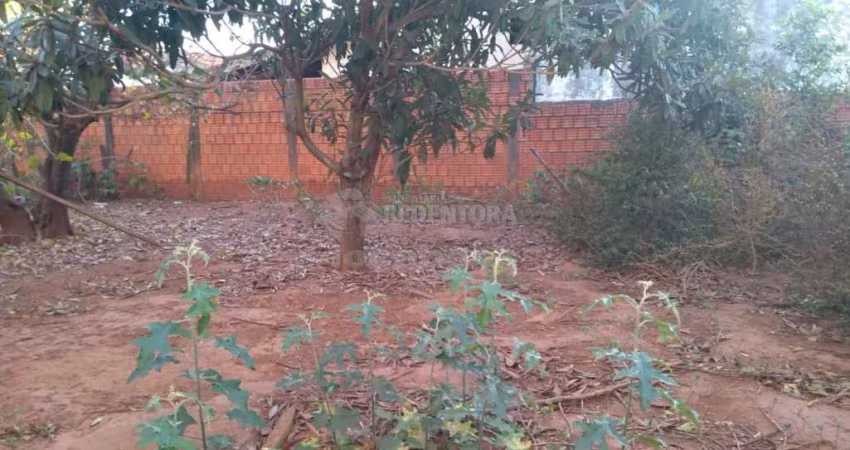 Terreno Padrão em Bady Bassitt