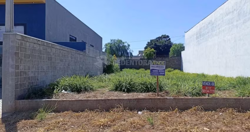 Terreno Padrão em Mirassol