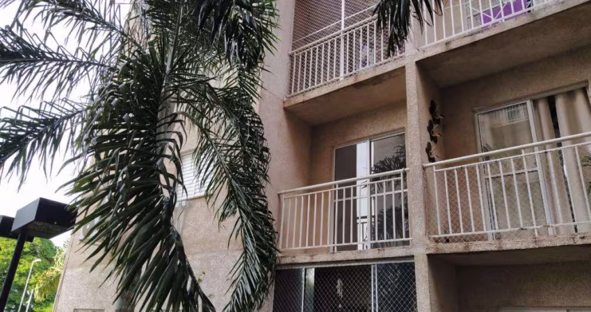 Apartamento Padrão em São José do Rio Preto