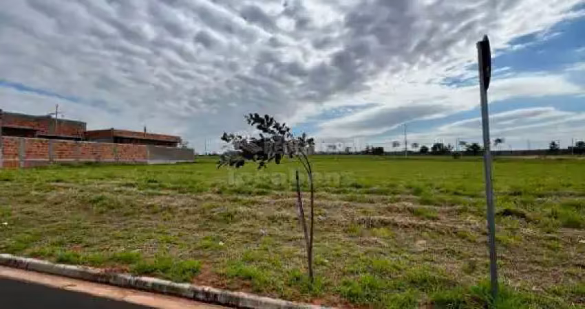 Terreno em condomínio fechado à venda no Jardim Vitagliano, São José do Rio Preto 