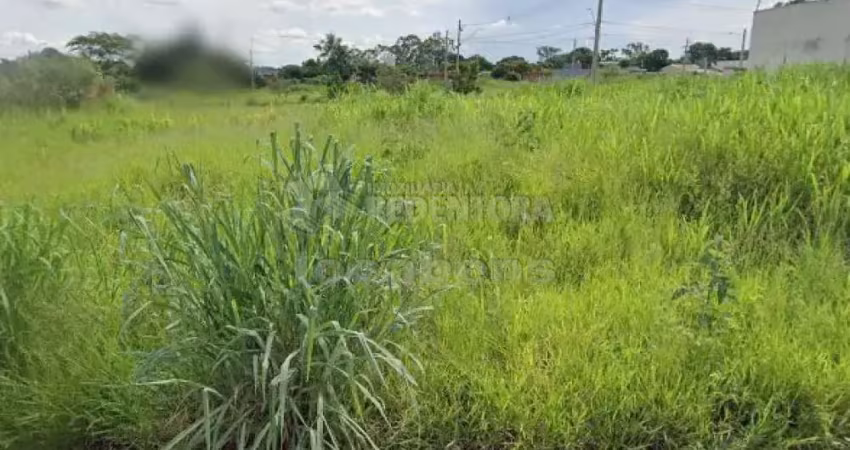 Terreno à venda na Rua José Cristalino Ribeiro, Parque Vila Nobre, São José do Rio Preto