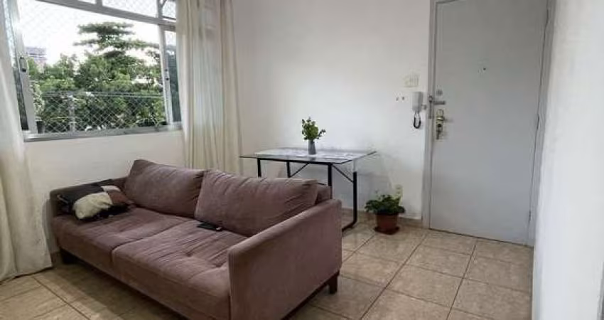 Venda Apartamento 2 Dorms em Marapé, Santos - R$300.000