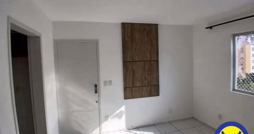 Apartamento com 2 quartos para alugar na Rua Acelon Pacheco da Costa, Itacorubi, Florianópolis