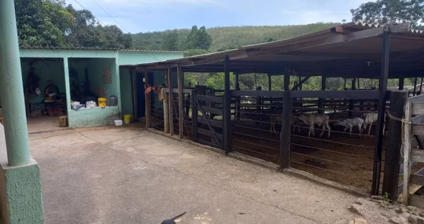 Fazenda Luziânia 5 Suítes 10 Alqueires Tanque de Peixe Curral Formada Gado