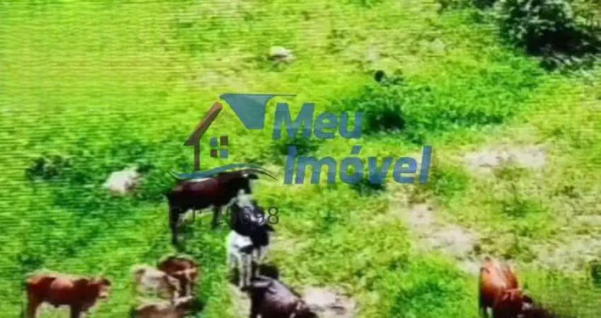 Chácara / sítio com 5 quartos à venda na Área Rural, S/n, Área Rural de Luziânia, Luziânia