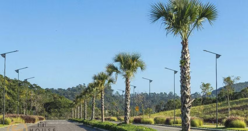 Oportunidade!!!   Terreno no Colinas de Camboriú  à venda, 311 m² por R$ 1.070.000