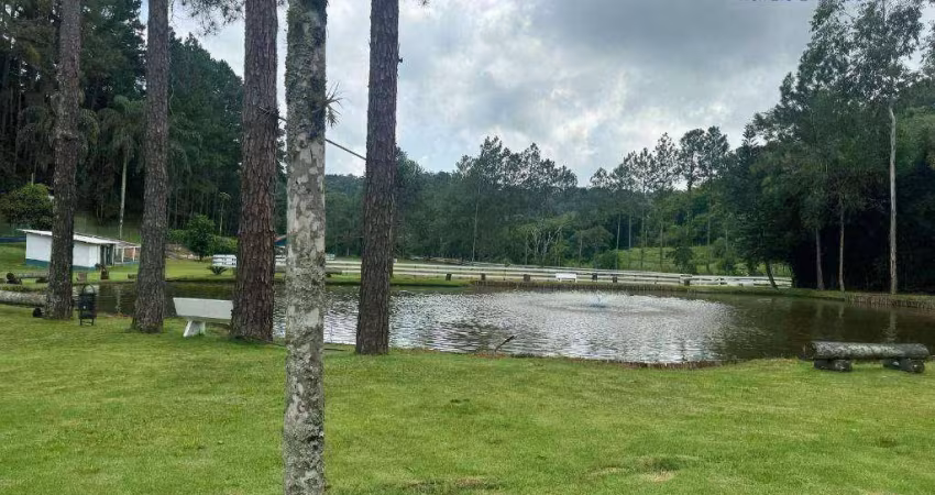 Chácara com 6 dormitórios à venda, 56000 m² por R$ 3.500.000,00 - Chácara Boa Vista - Santa Isabel/SP
