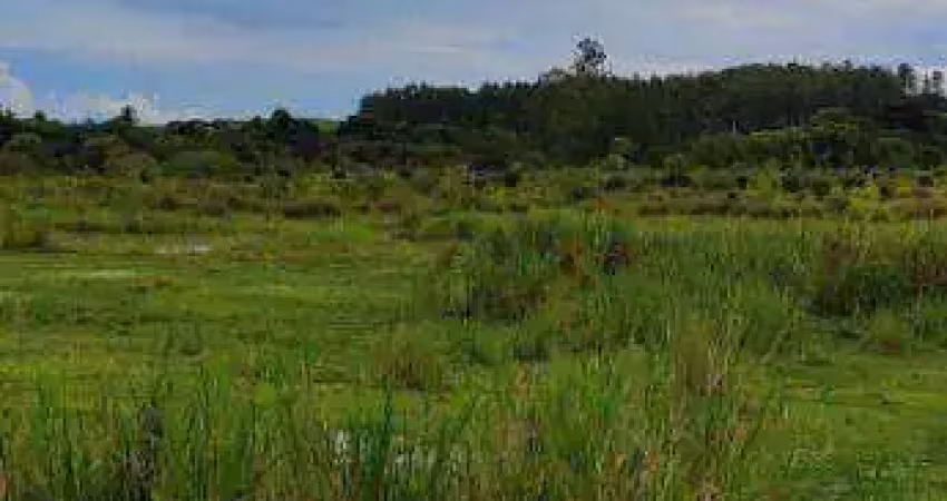 chacara de 10,3 alqueires