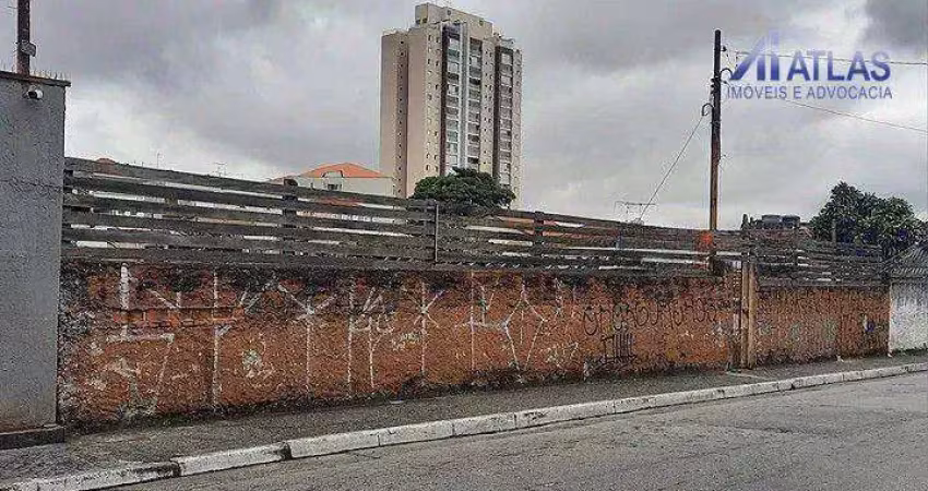 Terreno comercial à venda na Rua Cachoeira do Arari, Vila Guilherme, São Paulo