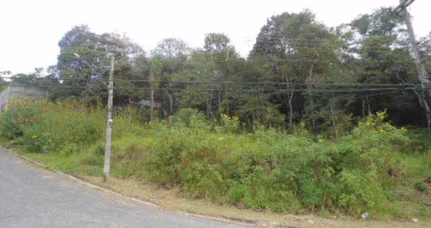 Terreno à venda, 16500 m² por r$ 1.300.000,00 - parque dos jacarandás - arujá/sp