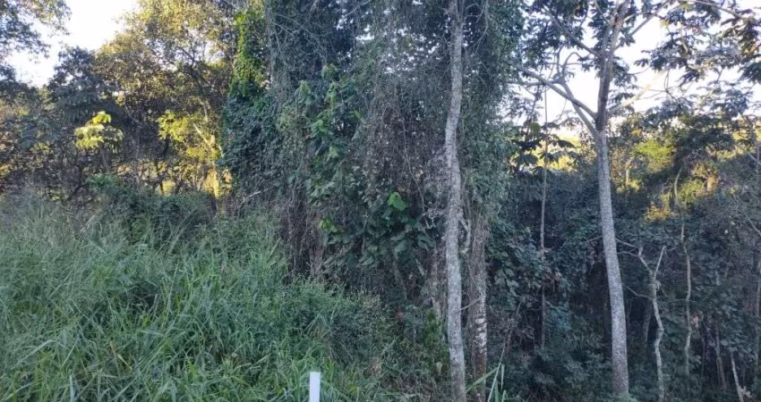 Terreno à venda, 450 m² por R$ 380.000,00 - Condomínio Arujá Country Club - Arujá/SP