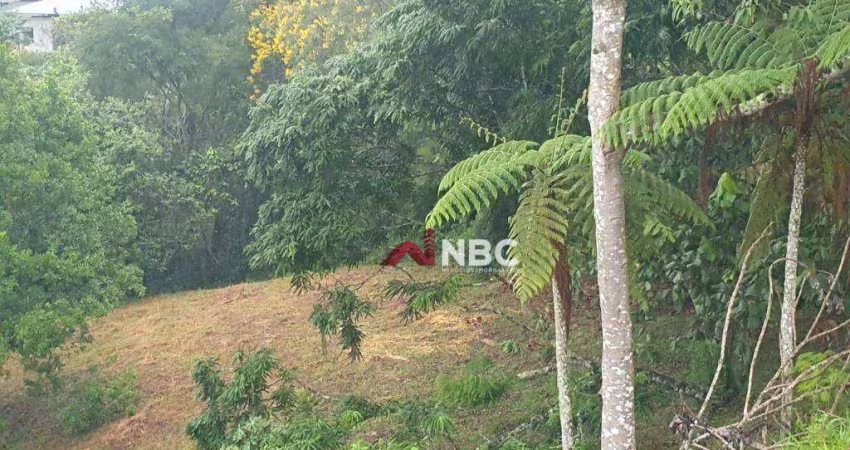 Terreno à venda, 1083 m² por R$ 350.000,00 - Condomínio Reserva Ibirapitanga - Santa Isabel/SP