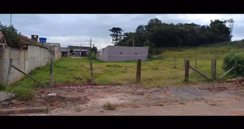 Terreno com 563 m², bem localizado, proximo do centro de araucaria
