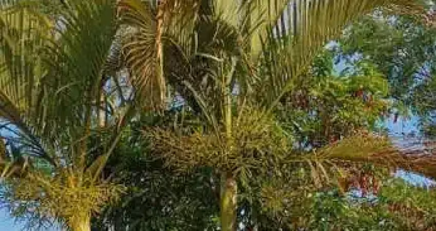 Chácara à venda em boituva-sp, bairro santa adelia: 2 quartos, sala, banheiro, vaga de garagem (95m²)