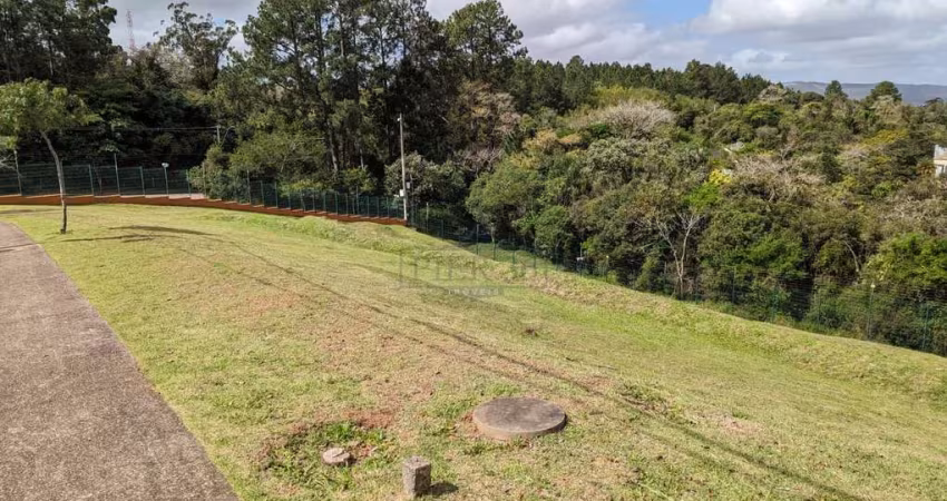 Terreno em condomínio fechado à venda na Estrada das Três Meninas, 2001, Vila Nova, Porto Alegre