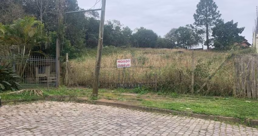 Terreno à venda na Rua Doutor Arnaldo da Silva Ferreira, 485, Jardim Isabel, Porto Alegre