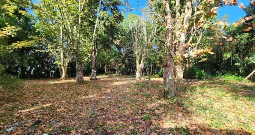 Terreno à venda na Avenida Coronel Marcos, 1109, Pedra Redonda, Porto Alegre