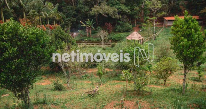 Venda Sítio Pessegueiros Teresópolis