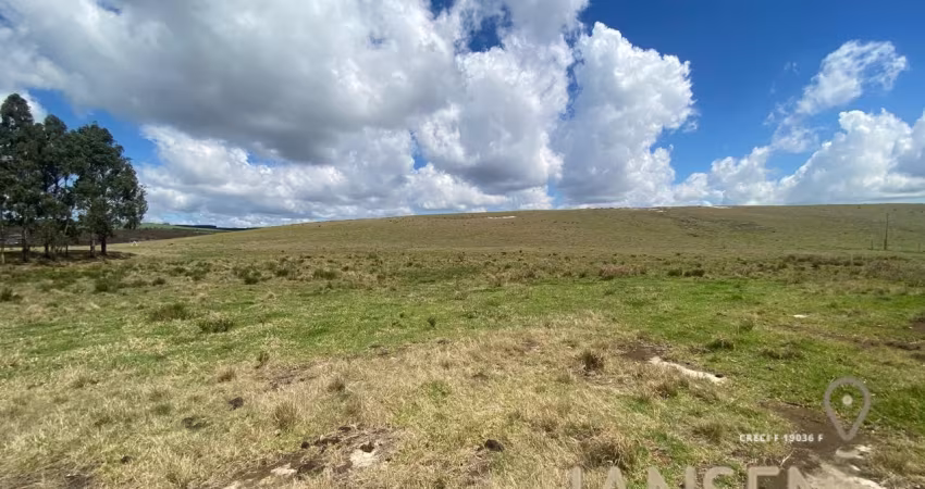 Fazenda à venda 81,6 alqueires (197 hectáres)tibagi, paraná