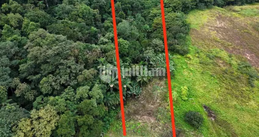 Terreno comercial à venda no Bateas, Brusque 