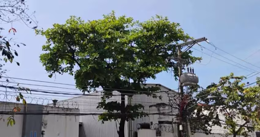 Barracão / Galpão / Depósito com 15 salas à venda na Rua Ana Guimarães, Rocha, Rio de Janeiro