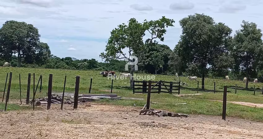 Fazenda à venda, na região do municipio de santo antonio do leverger  mt