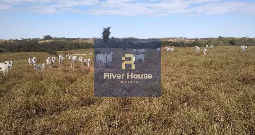 Fazenda   à venda  finalidade pecuaria formada, localizada em  Bom jardim,  Região Nobres , MT