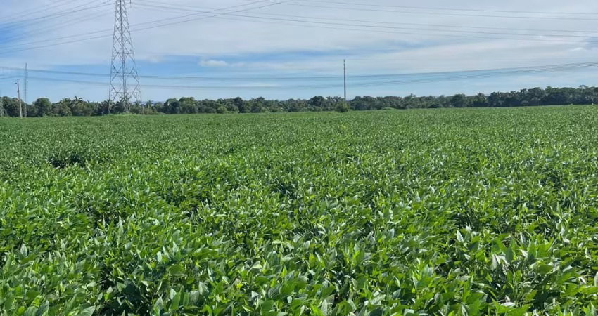 Linda fazenda a 30 KM de Cuiabá-MT