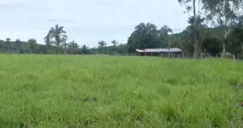 Fazenda com 1 sala à venda na Rua Fernando Correa da Costa, 10, Zona Rural, Barão de Melgaço