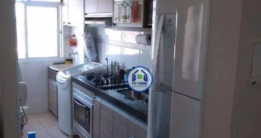Apartamento com 2 dormitórios à venda, 50 m² por r$ 240.000,00 - jardim santa rosa i - são josé do rio preto/sp