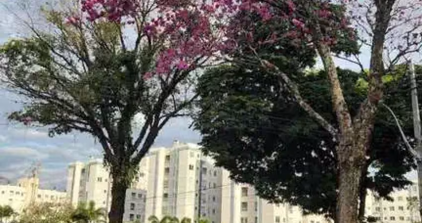 Apartamento padrao a venda, jardim america, maringa, pr
